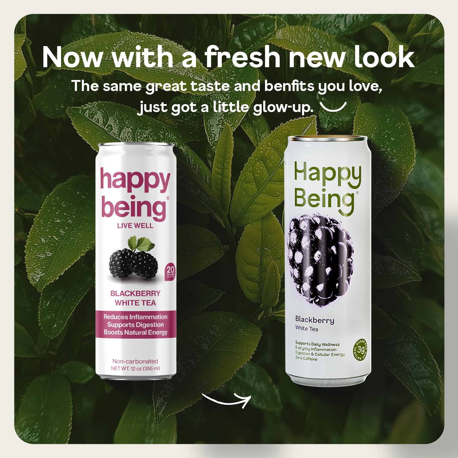 Happy Being Blackberry White Tea ingredients shot — blueberries and green tea extract boost polyphenols.