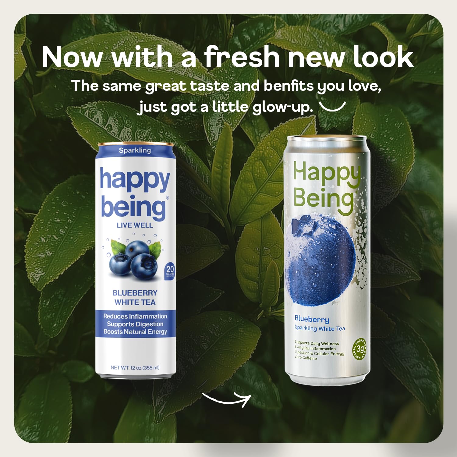 Happy Being Blueberry Sparkling White Tea can packaging with vibrant branding for easy grab-and-go.