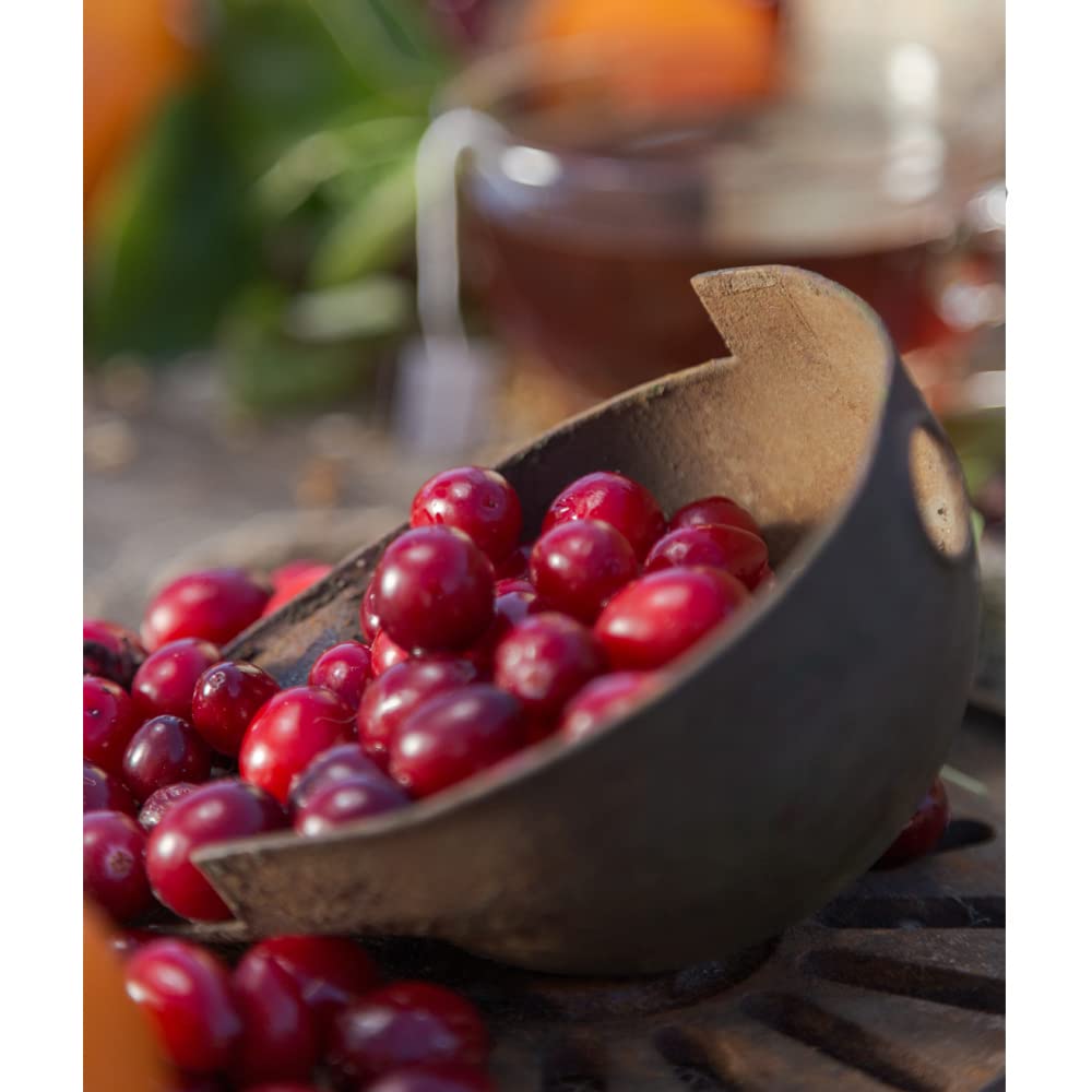 Harney & Sons Cranberry Autumn brewed cup, full-bodied flavor ready to enjoy