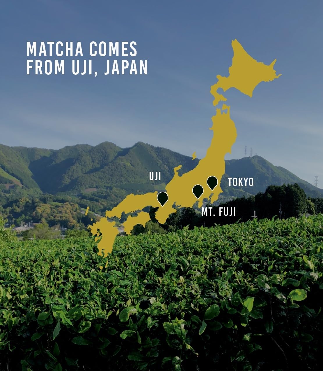 Harney & Sons Supreme Matcha iced drink poured over ice
