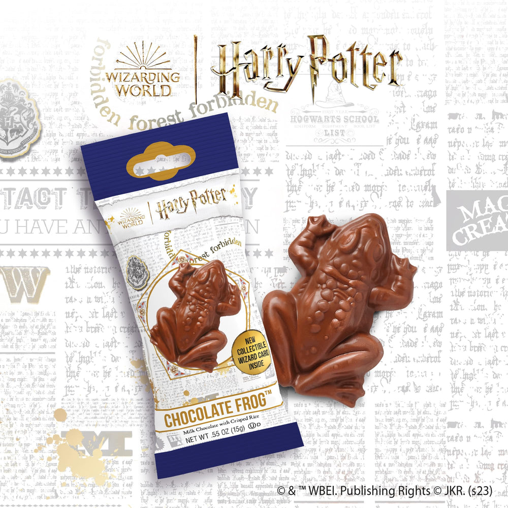 Harry Potter Chocolate Frog 2-pack sealed packaging ready for gifting.