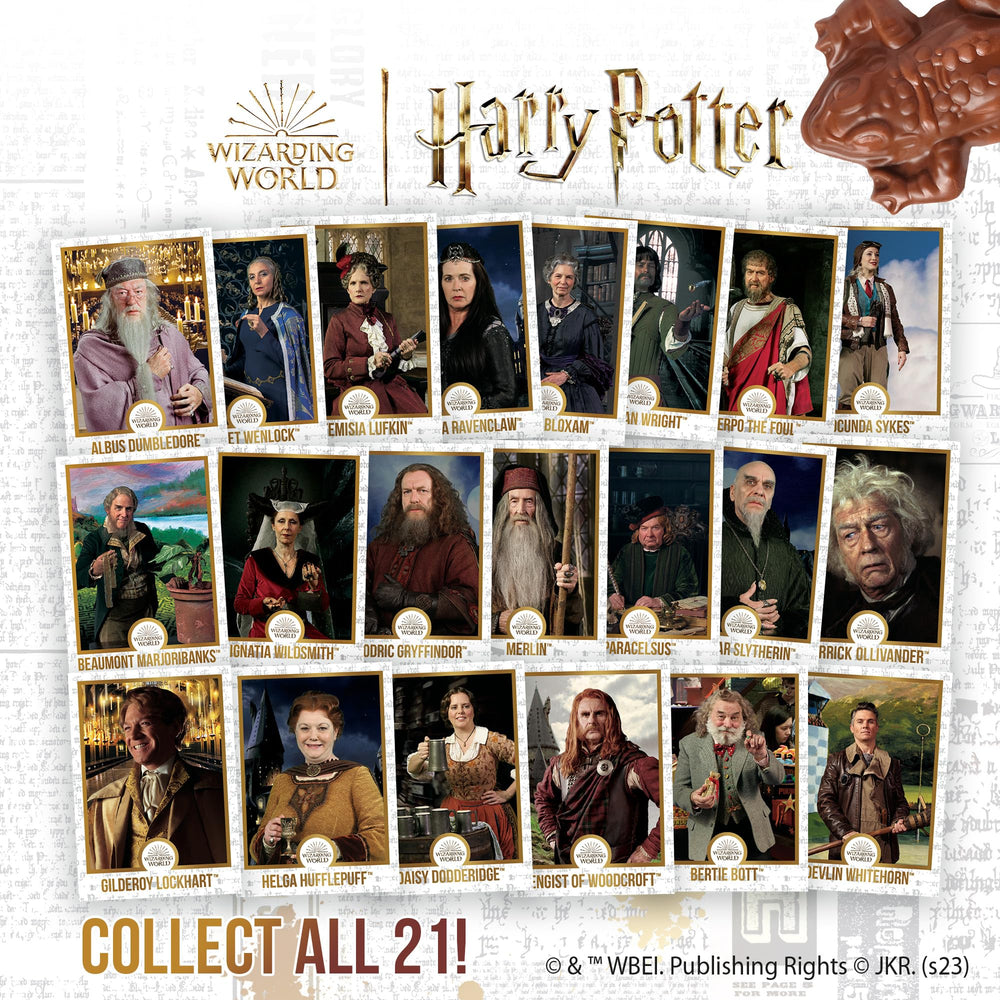 Harry Potter Chocolate Frog close-up shows crispy texture and shine.