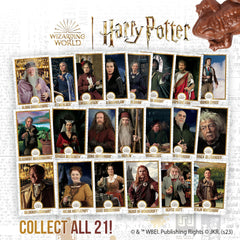 Harry Potter Chocolate Frog close-up shows crispy texture and shine.
