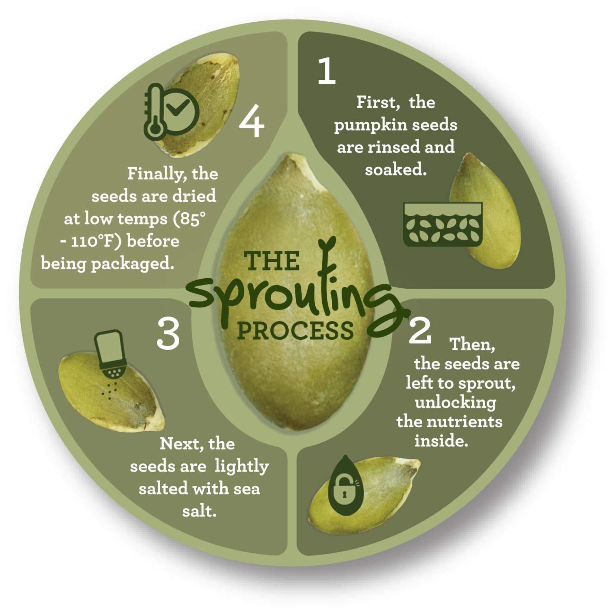 Harvested For You office snack pack; compact, protein-rich treat for busy days.