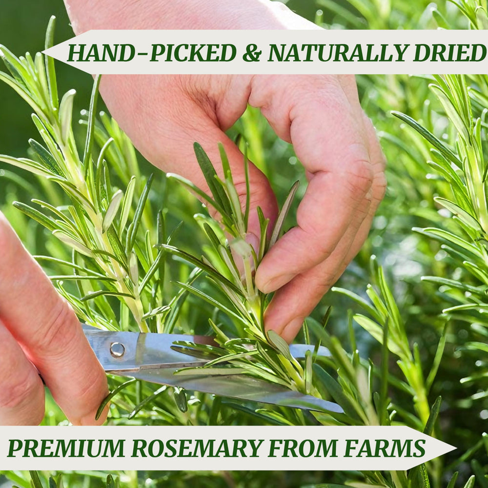 HAVNDRAE metal storage tin keeps rosemary dry and aromatic.