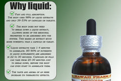 Hawaii Pharm Lomatium glycerite amber bottle on shelf