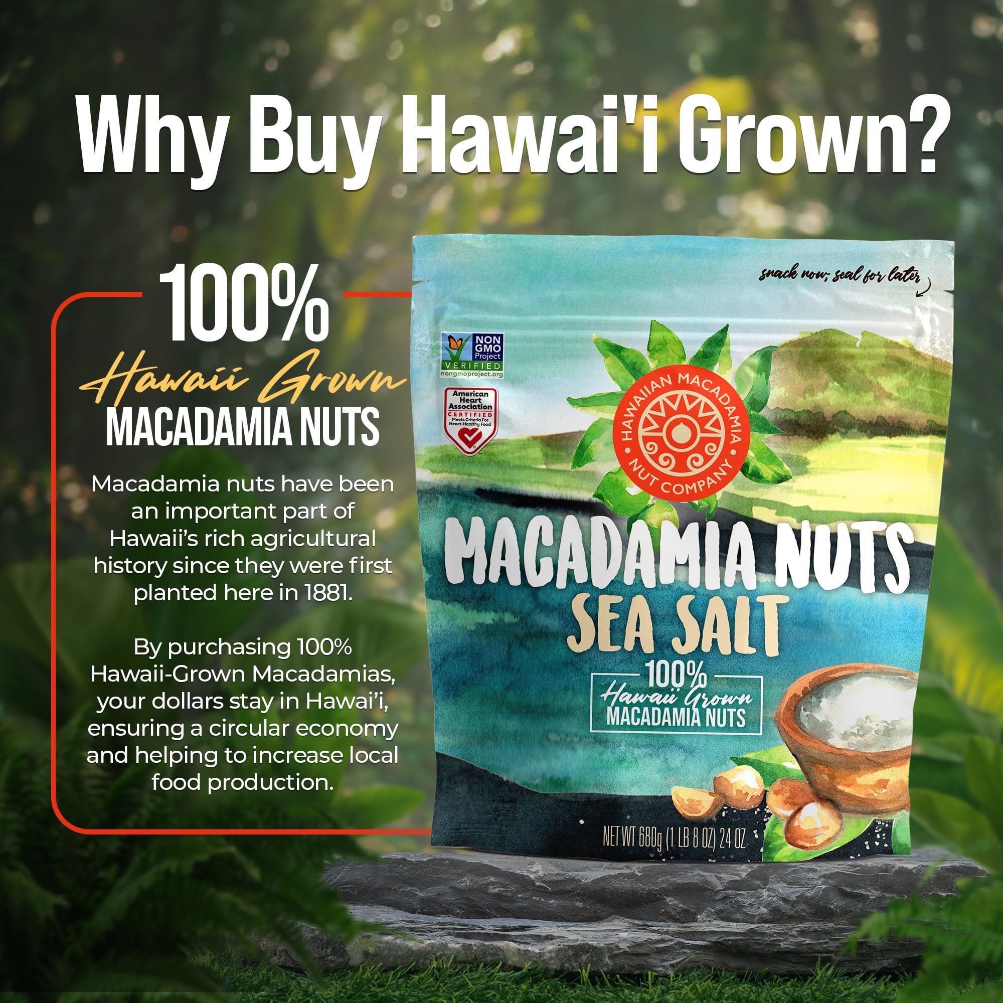Hawaiian Macadamia Nut Company gluten free and non GMO macadamias for snacks