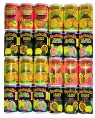Hawaiian Sun 24-pack sampler pack-shot showing four tropical flavors for refreshment