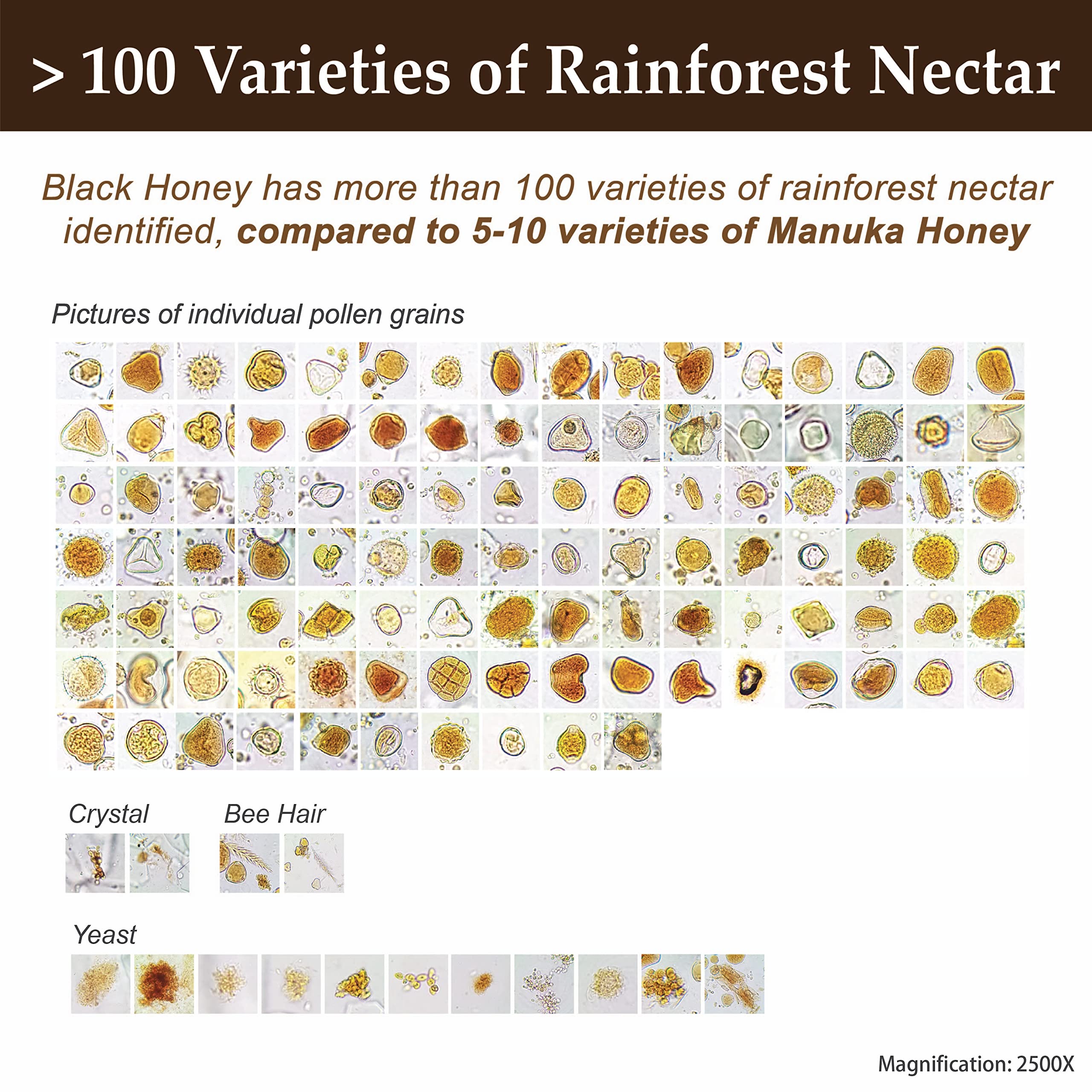 Health Harvest Tualang Honey jar with pollen count emphasis and rich profile.