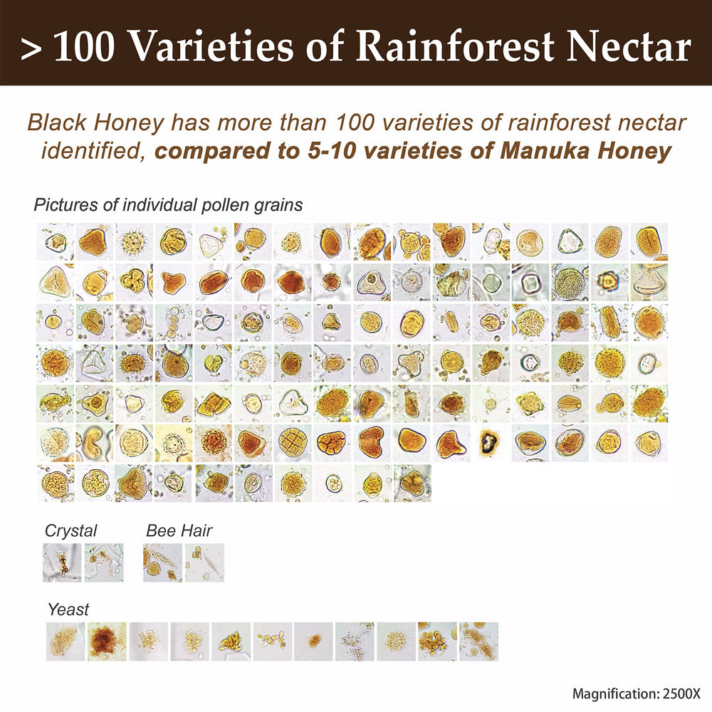 Health Harvest Tualang Honey jar with pollen count emphasis and rich profile.