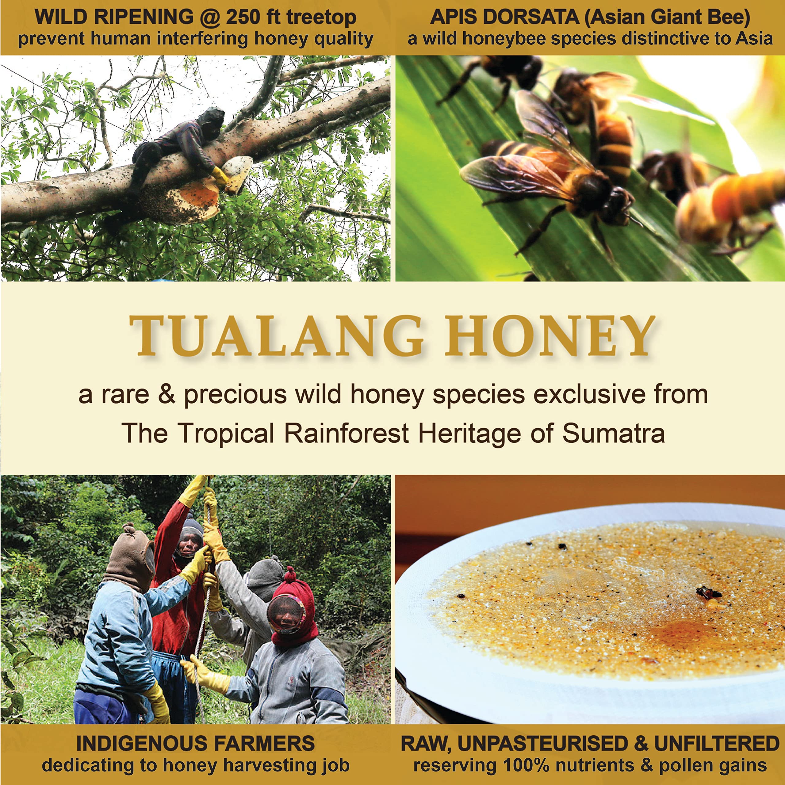 Health Harvest Tualang Honey on a spoon, highlighting its rich texture and color.