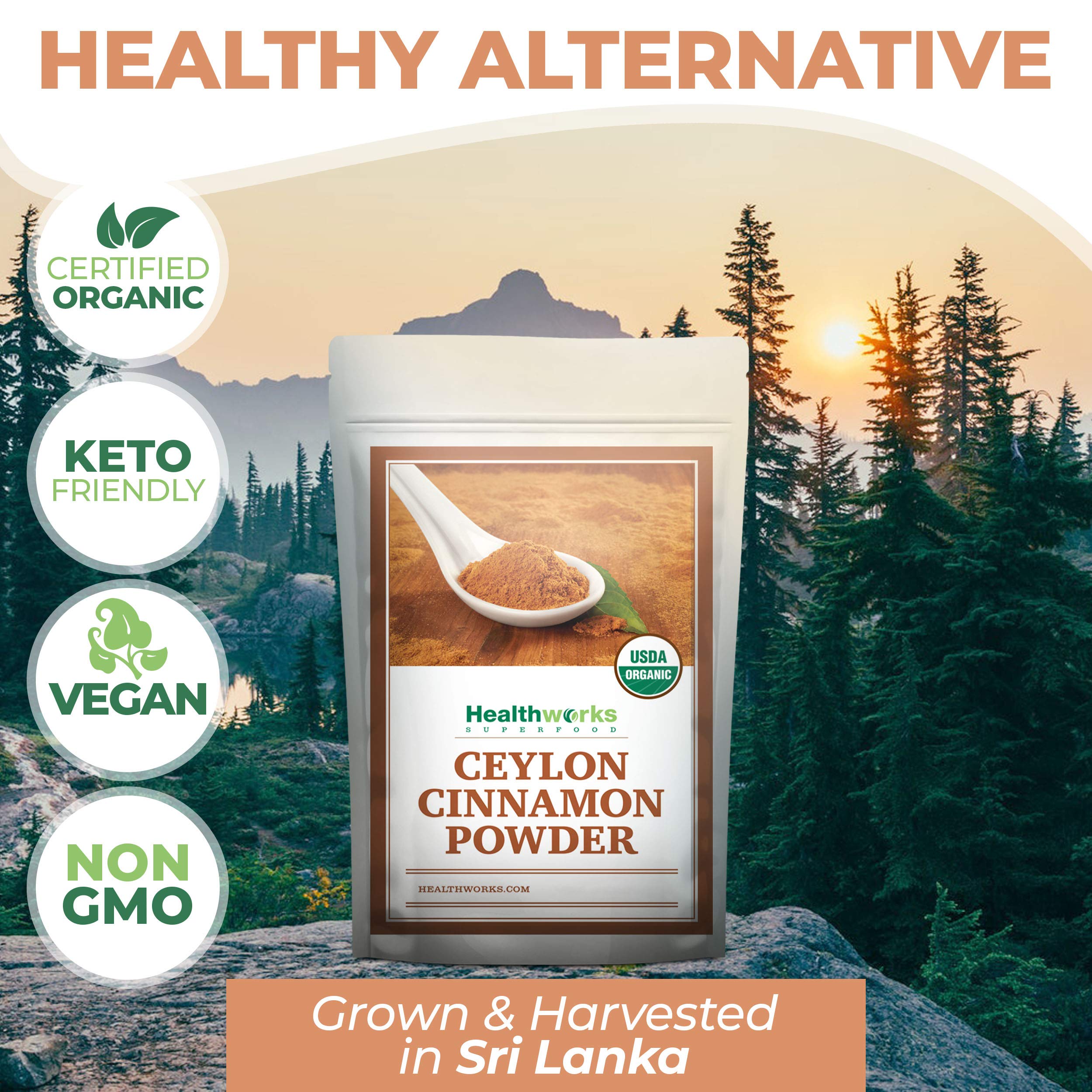 Healthworks Cinnamon Powder dusted over oatmeal for enhanced flavor