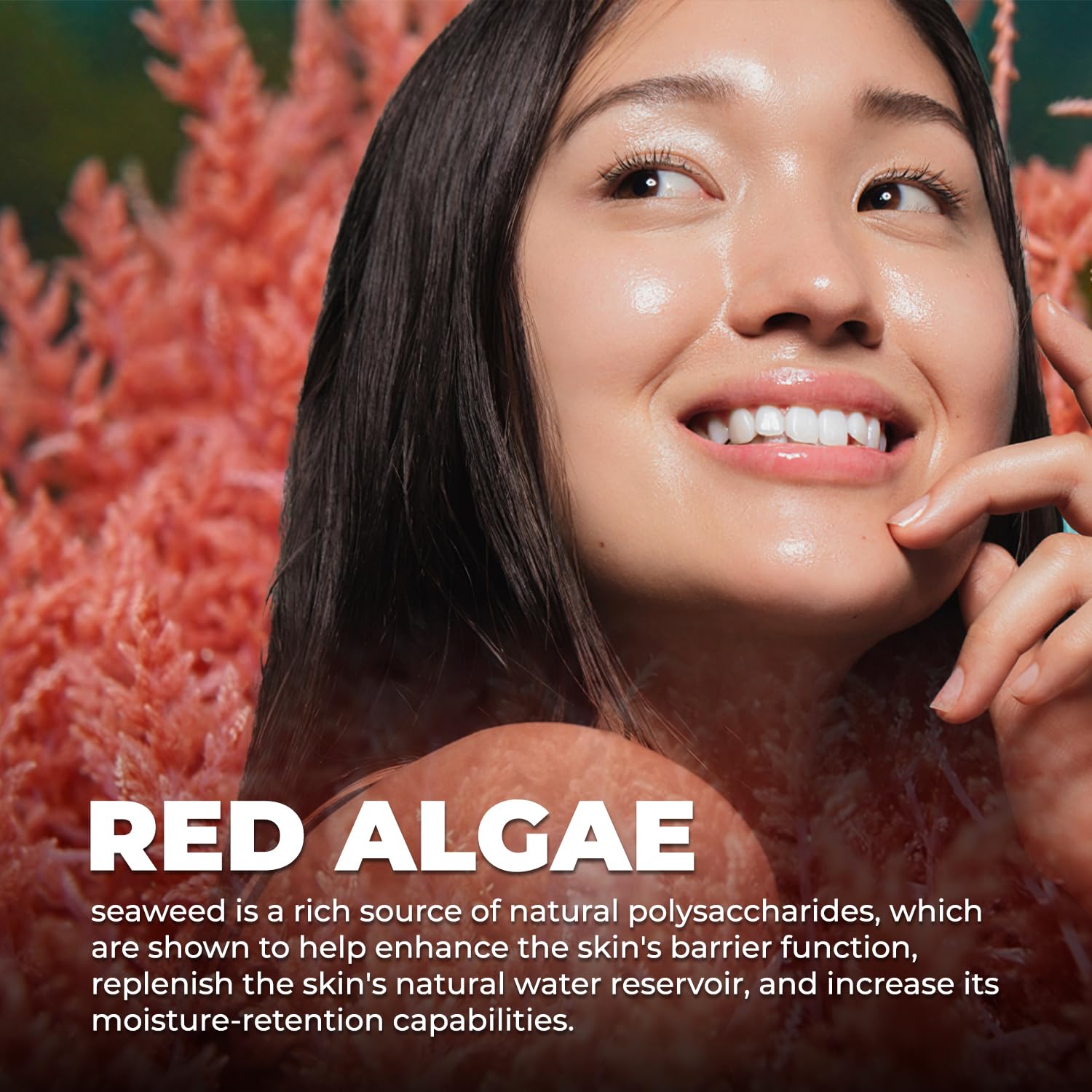 HEARTHY FOODS Agar Agar powder in a heated pot forms a firm, translucent gel.