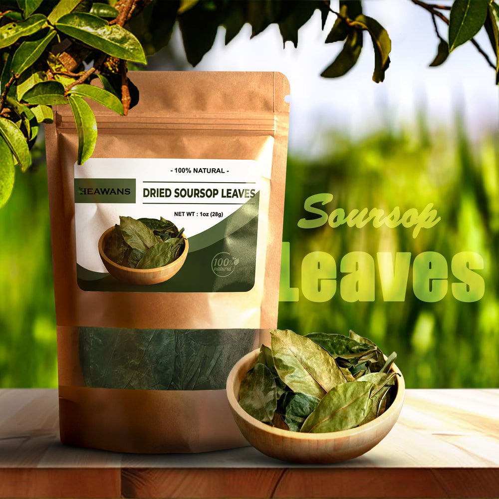 Heawans Soursop leaves hand-selected close-up ensuring top quality for herbal infusions.
