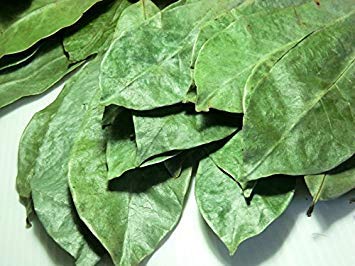 Heawans Soursop leaves origin Sri Lanka for authentic flavor notes.