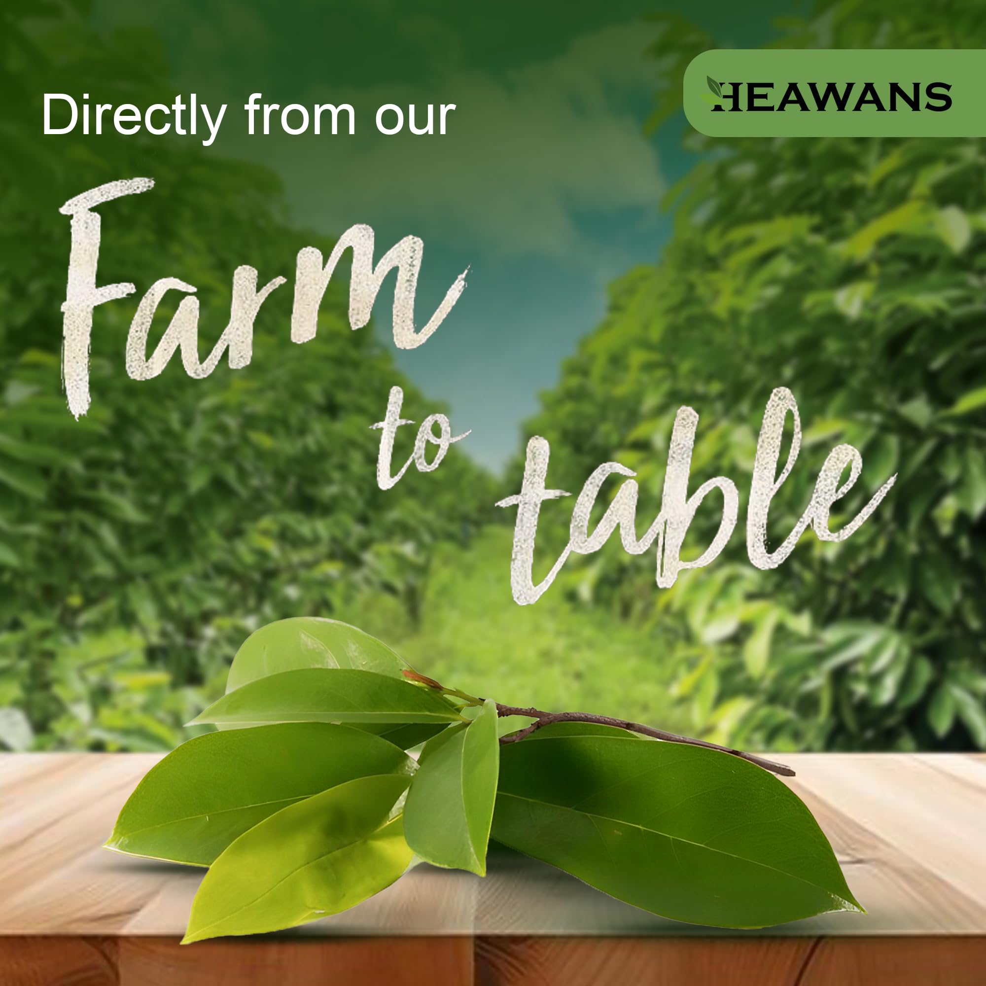 Heawans Soursop leaves ideal for hot-water infusions and aromatic blends.