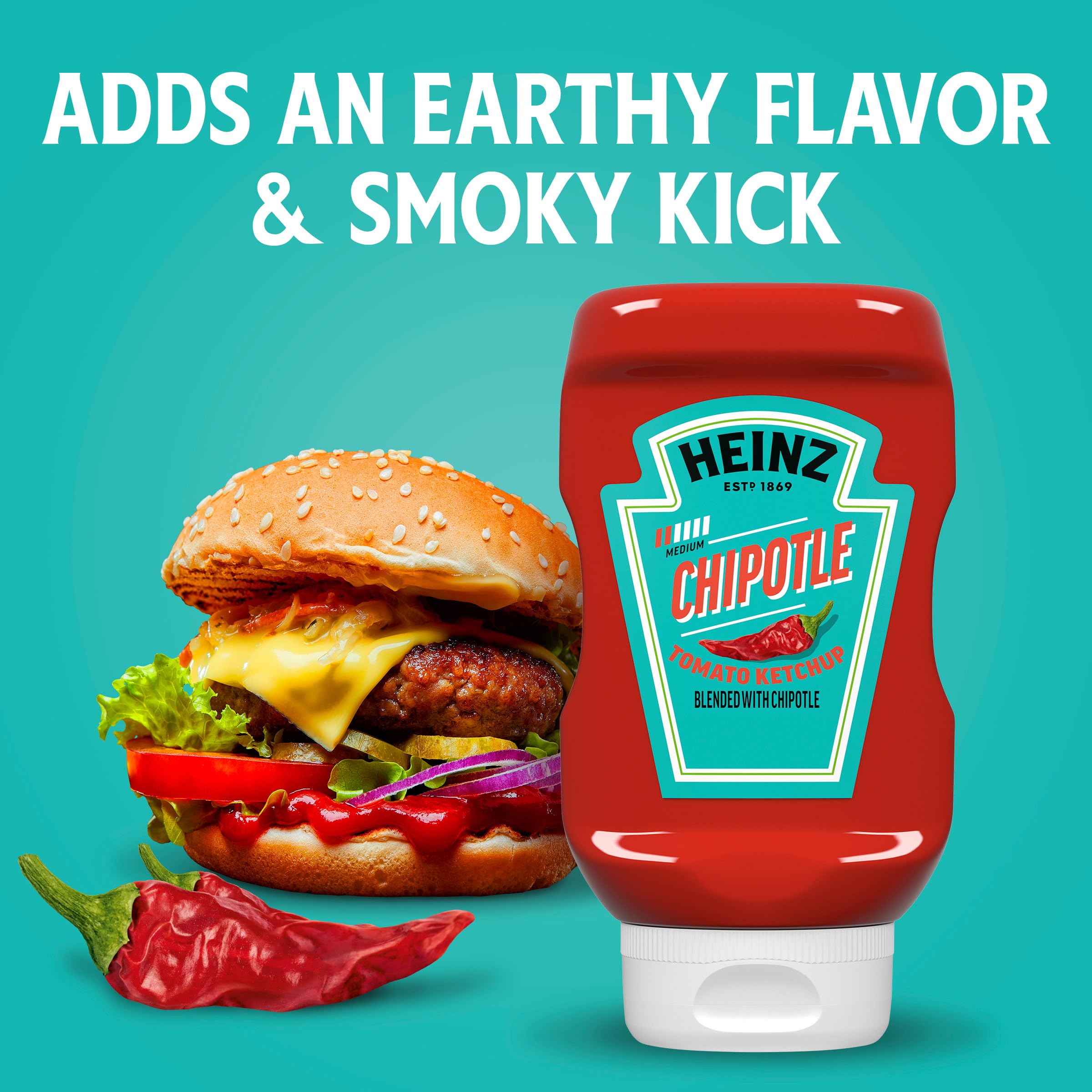 Heinz Chipotle Ketchup with fries creates a flavorful dipping option