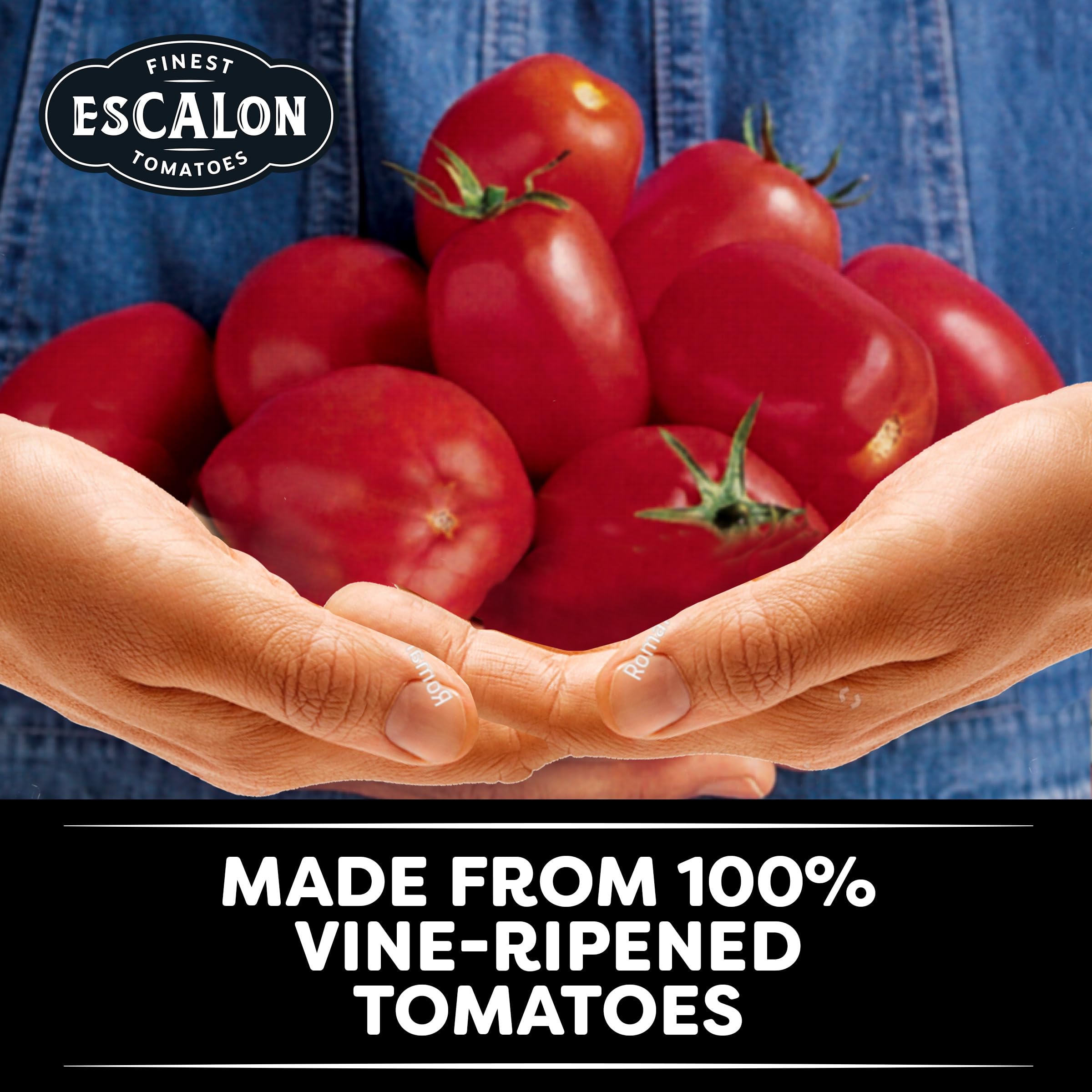 HEINZ Escalon base for pasta sauce with vibrant color