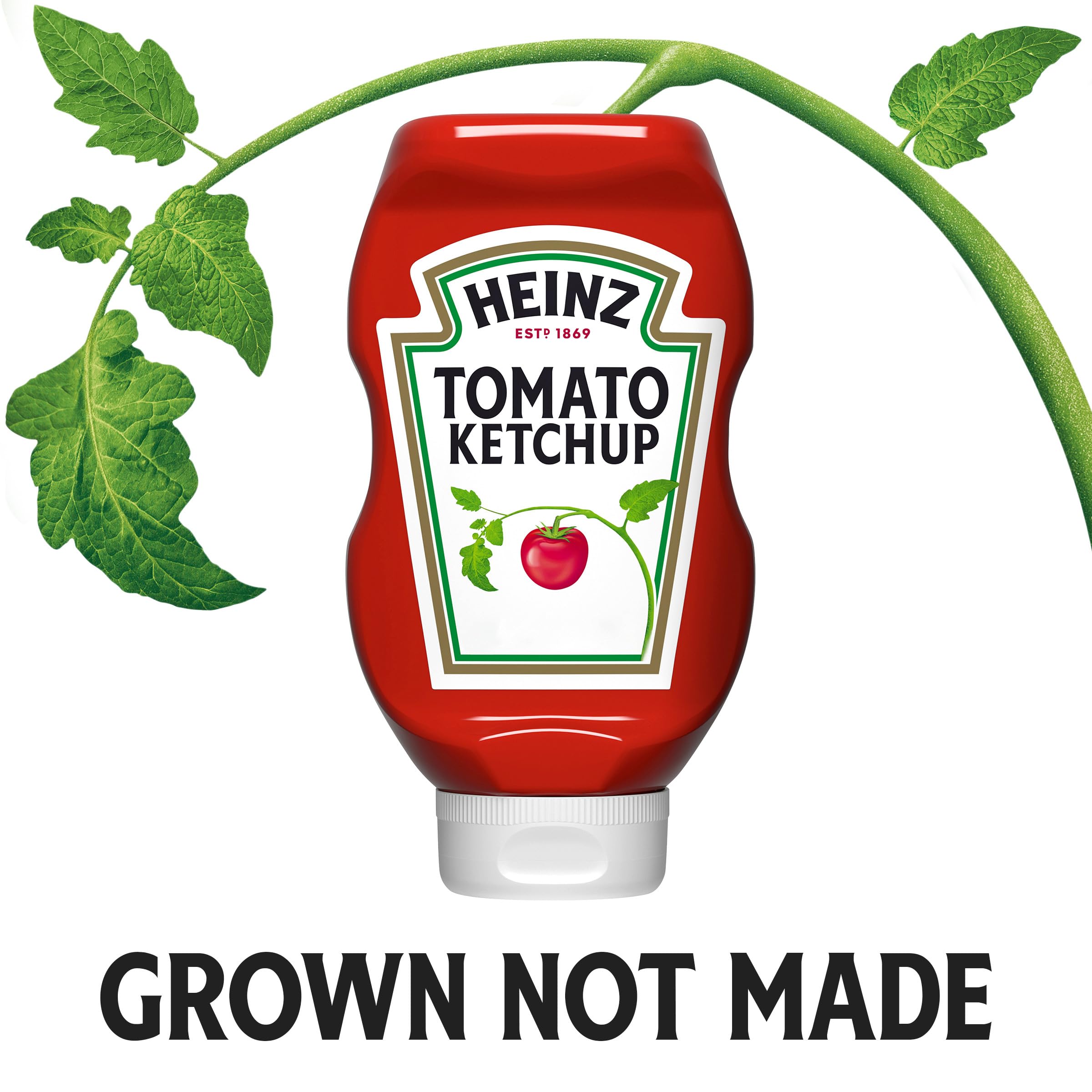 Family barbecue scene with Heinz ketchup ready to serve