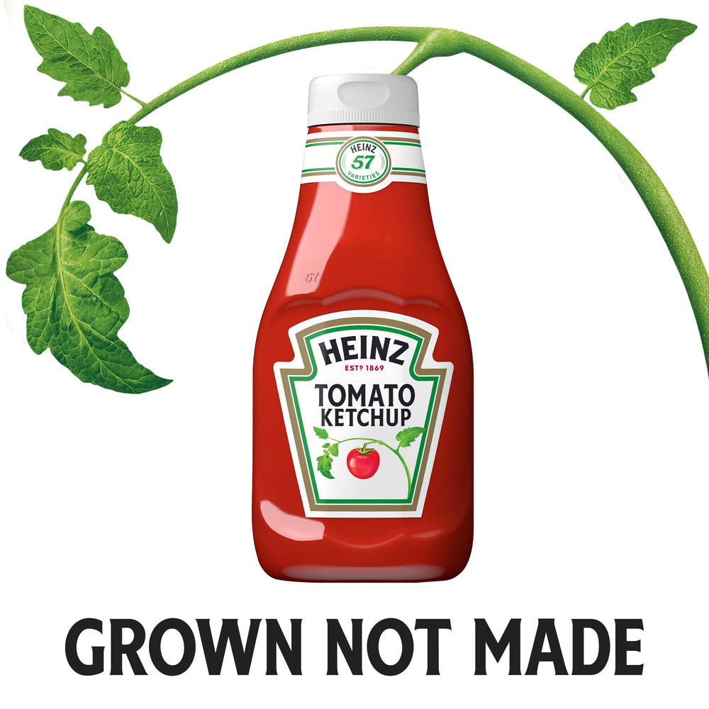 Heinz Tomato Ketchup with fries for dipping and flavor boost
