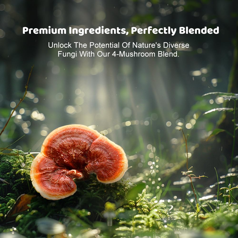 Hellomush pack-shot features Lions Mane, Reishi, Chaga, Cordyceps ingredients.