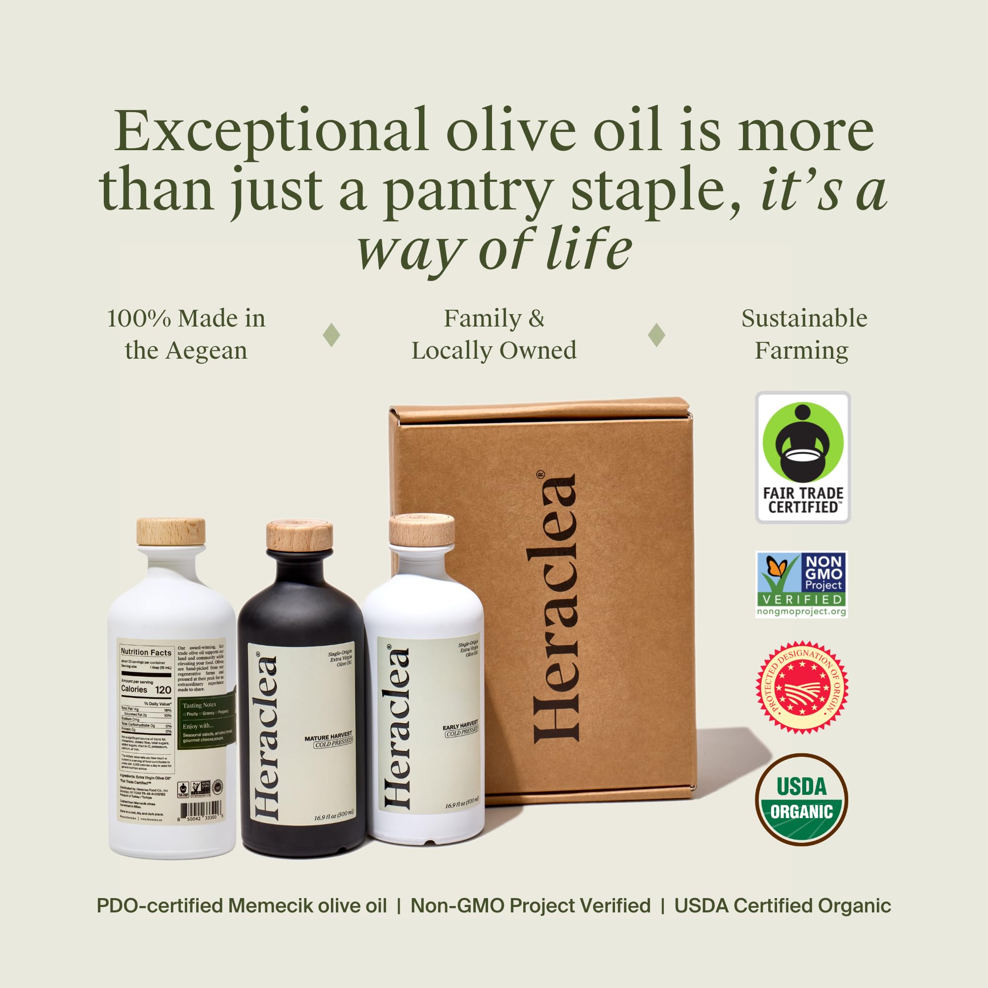 Heraclea Olive tree and harvest showcases family farm craftsmanship