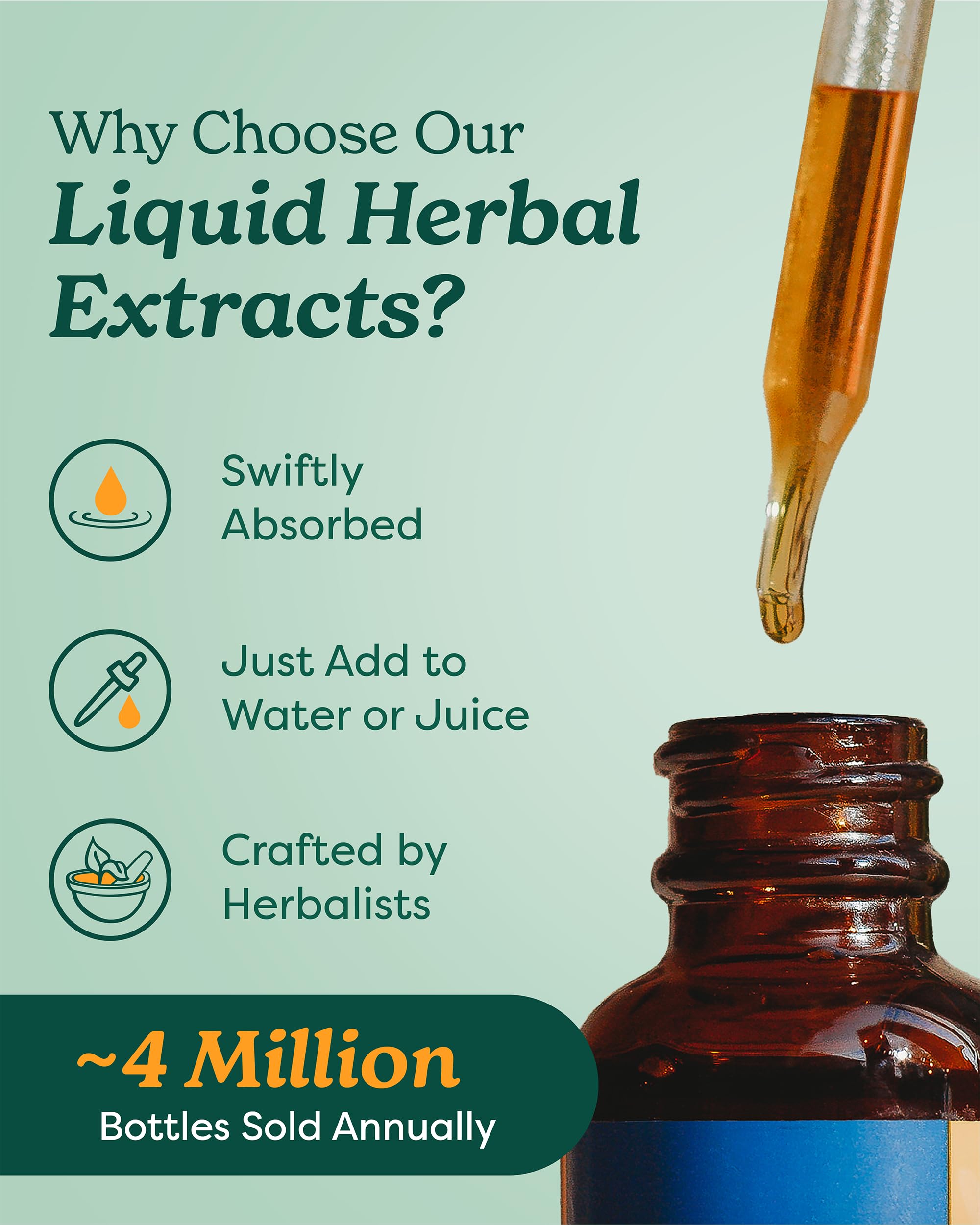 Herb Pharm Artemisia Annua leaf and flowering focus emphasizes plant origin