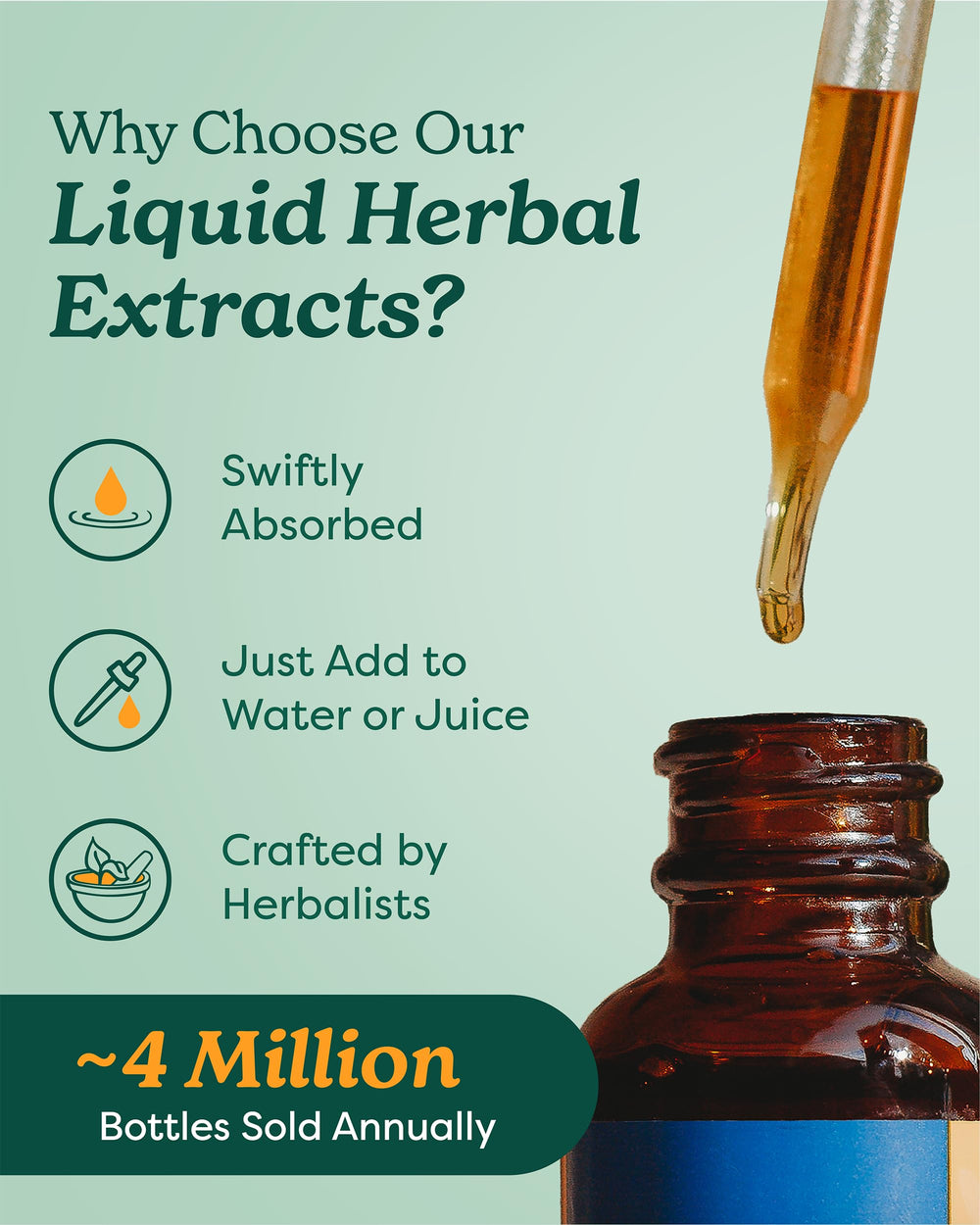Herb Pharm Artemisia Annua leaf and flowering focus emphasizes plant origin