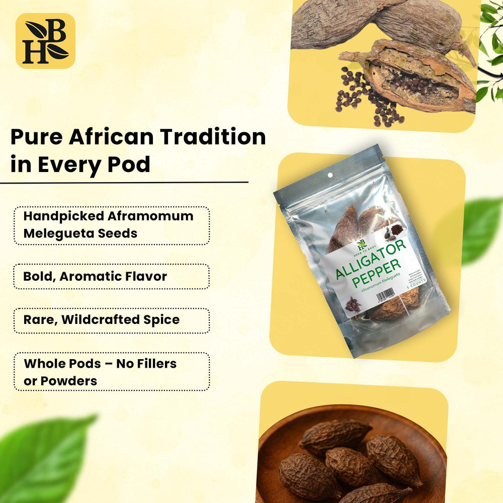 Herb To Body alligator pepper whole pods ideal for grinding fresh