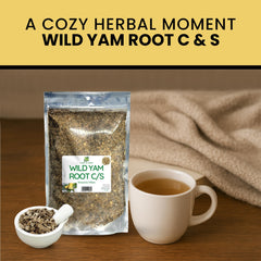 Herb To Body wild yam root closeup highlighting natural texture.