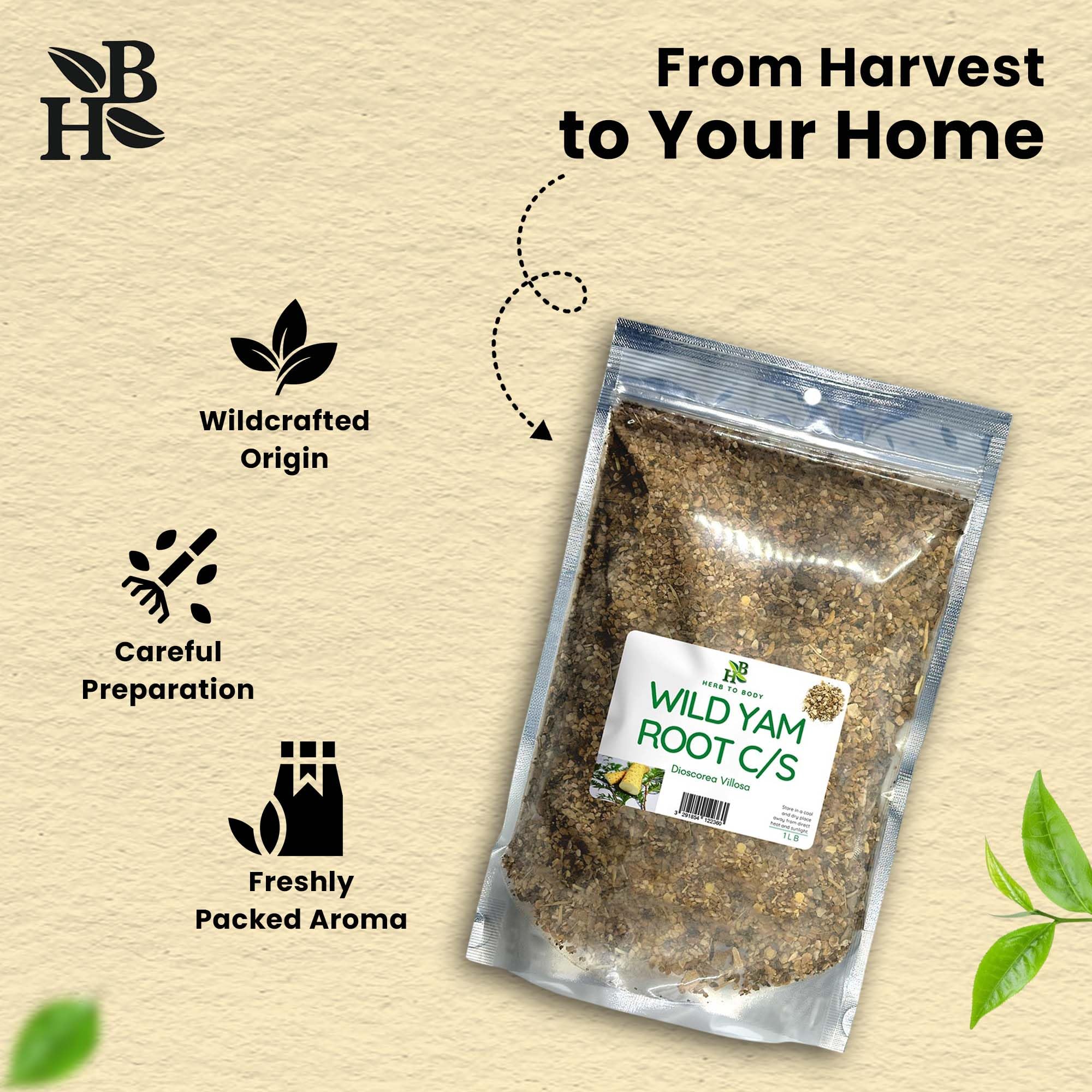 Herb To Body wild yam tea cup ready to sip.