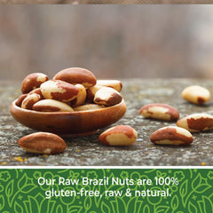 Herbaila Brazil nuts raw whole-shell display highlighting natural shell texture