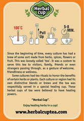 Herbal Cup Ayurveda Turmeric Tea brewed cup illustrates a warm, inviting daily ritual.