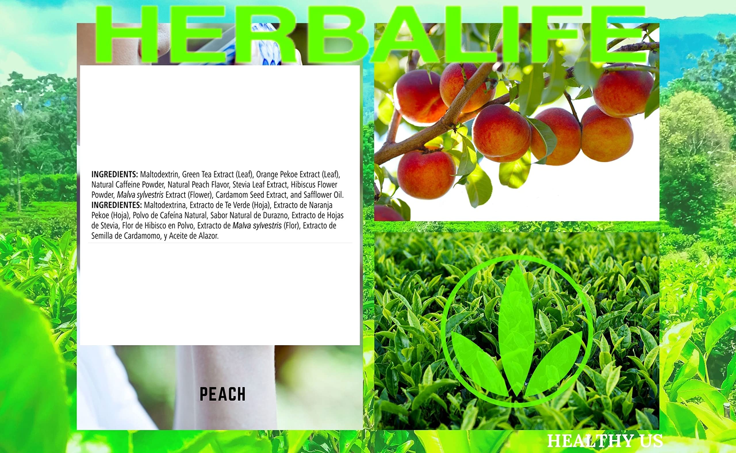 Close-up of green tea leaves and orange pekoe in Herbalife blend.