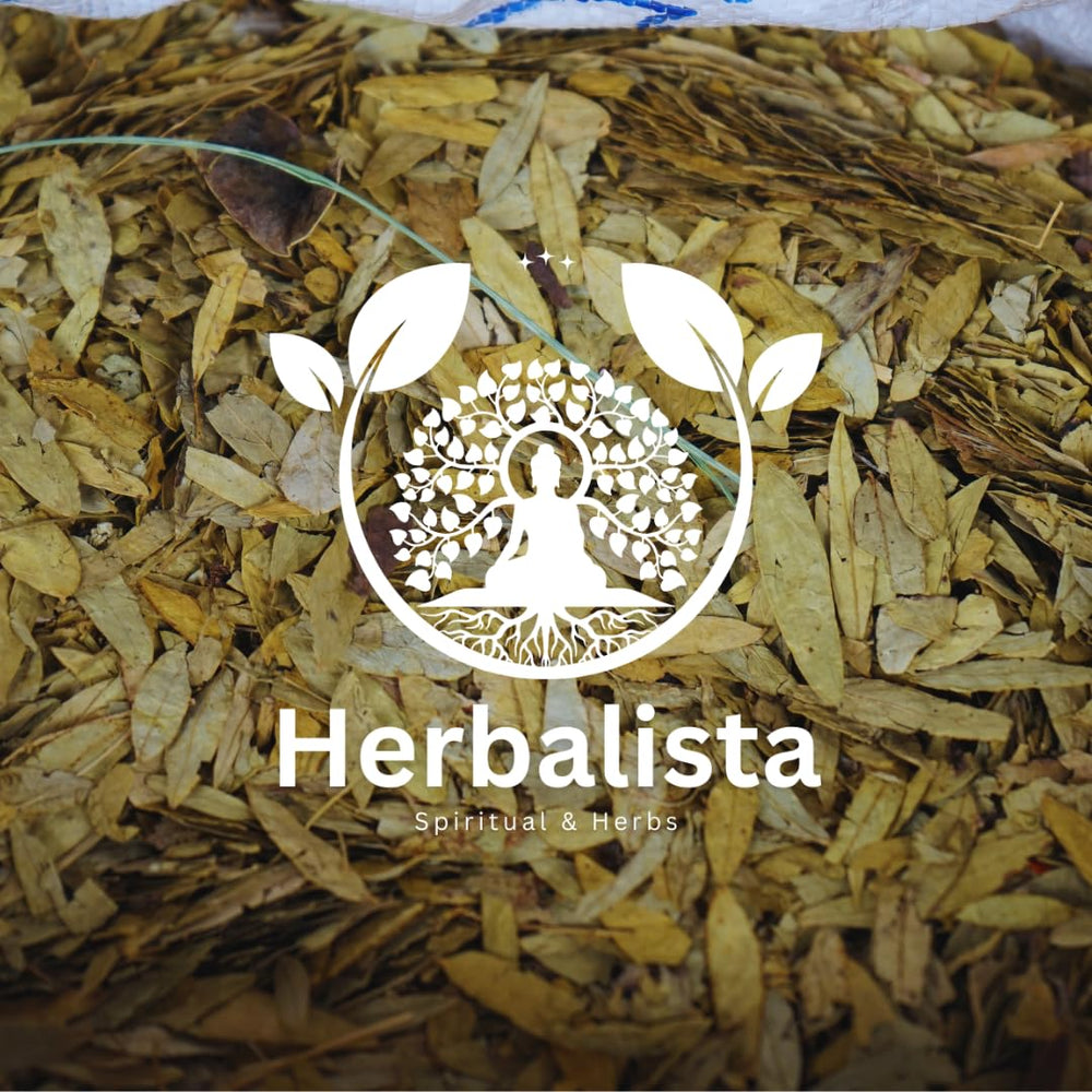 Herbalista senna tea in cup captures a warm, inviting brew ideal for winding down.