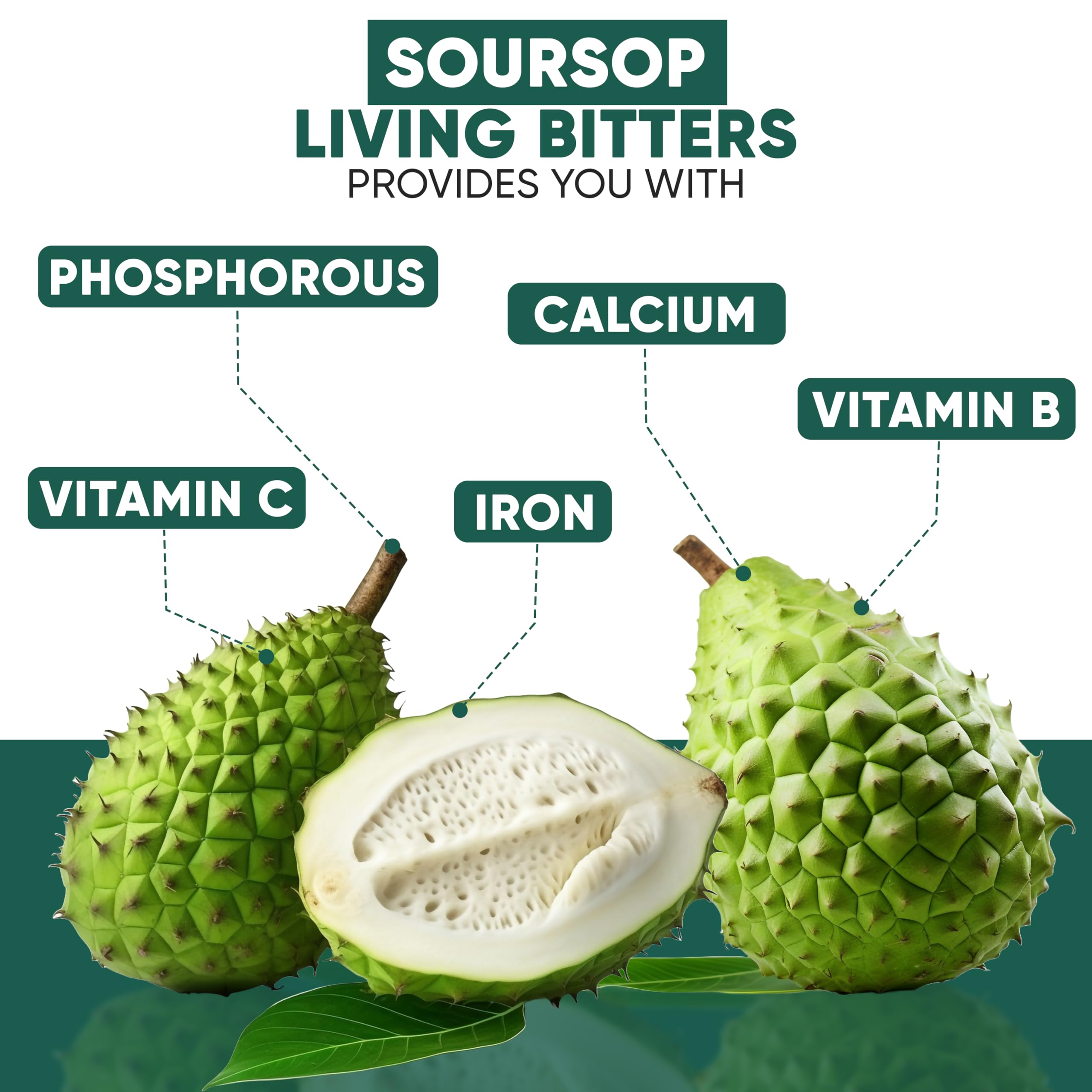 Closeup of soursop leaves and botanicals in HERBOGANIC bitters