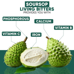 Closeup of soursop leaves and botanicals in HERBOGANIC bitters