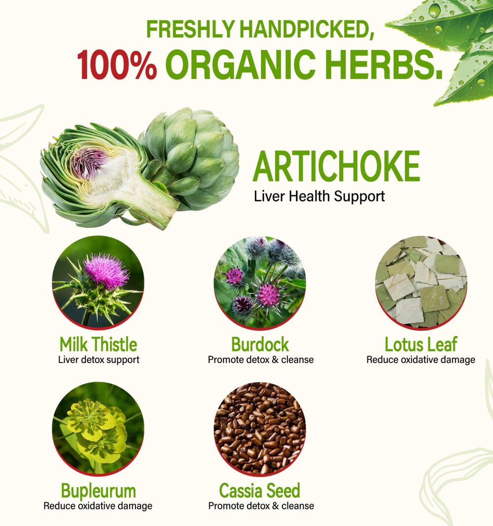 HerbOLITHIC Artichoke Tea artichoke leaf close-up highlights natural ingredients.