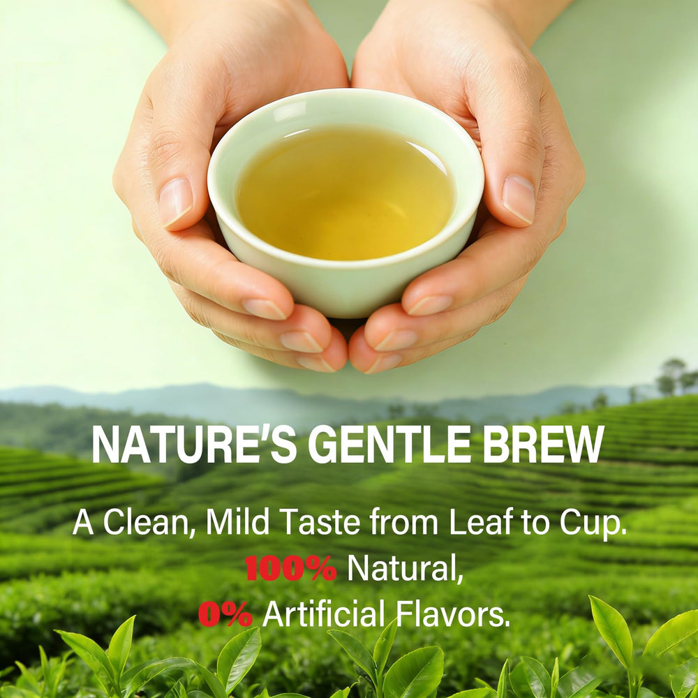 HerbOLITHIC Artichoke Tea milk thistle close-up emphasizing antioxidant blend.