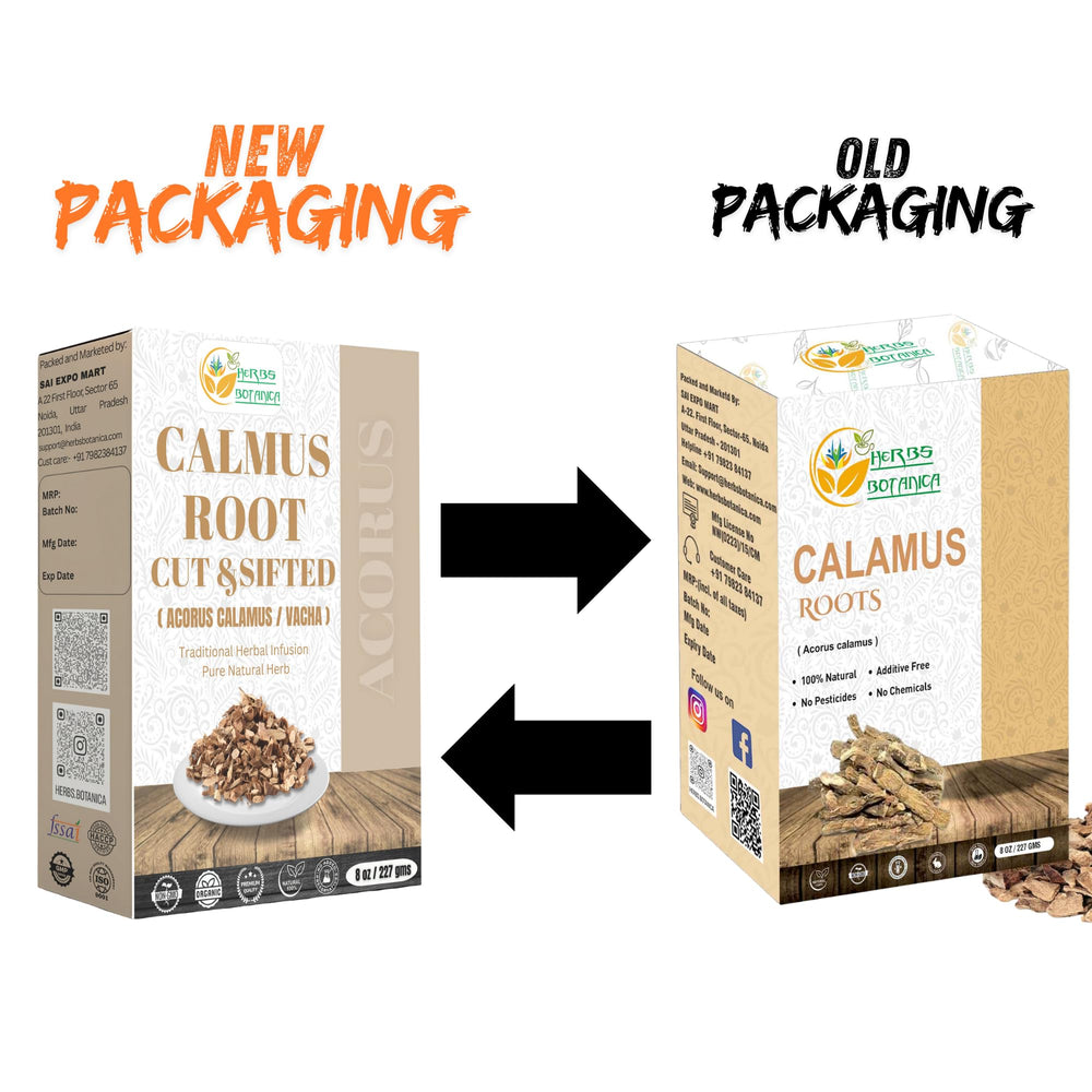Herbs Botanica Calamus Root tea brew illustrating a calming, aromatic cup.