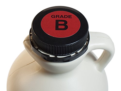 Hidden Springs Maple BPA-free jug closeup for safe handling and easy pouring.