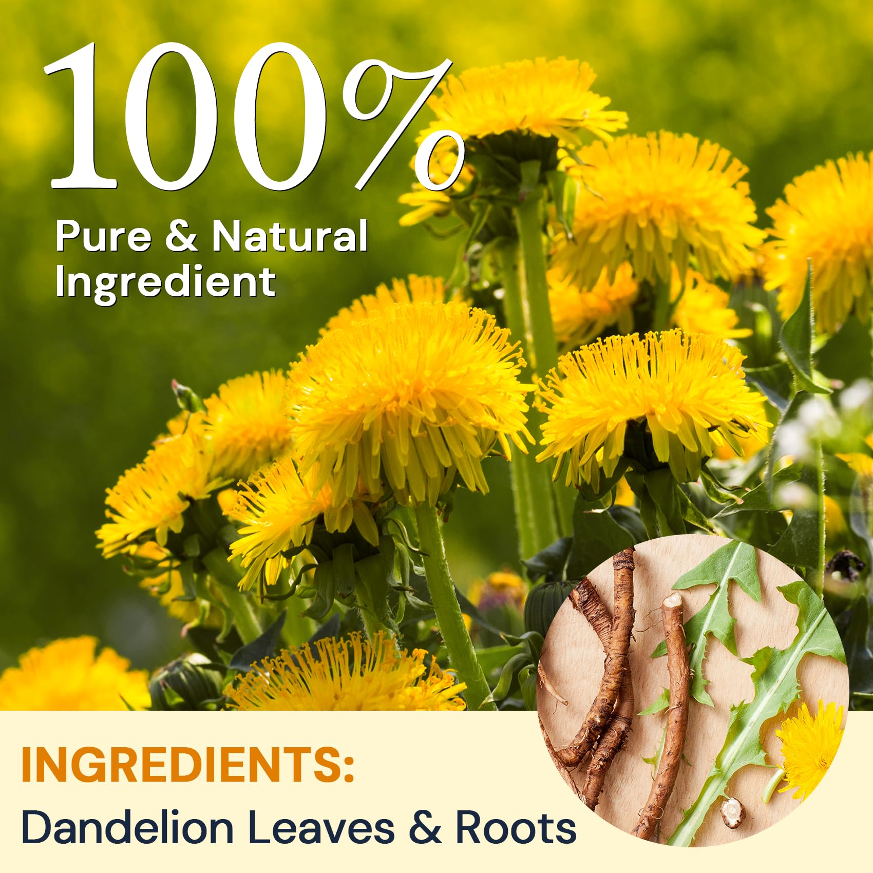 HIIHONE dandelion tea bags close-up, preserves aroma for fresh flavor.