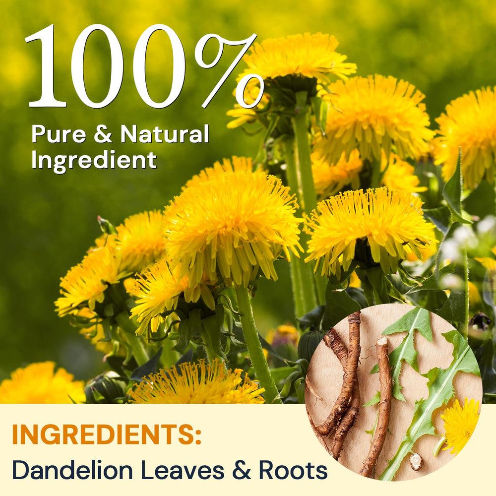 HIIHONE dandelion tea bags close-up, preserves aroma for fresh flavor.