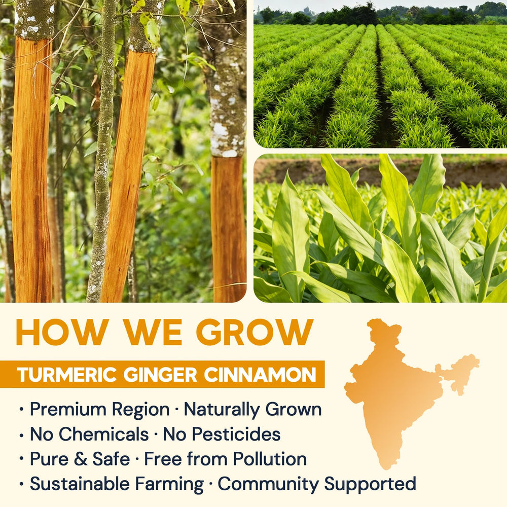 HIIHONE farm-sourced ingredients ensure high-quality turmeric, ginger, and cinnamon.