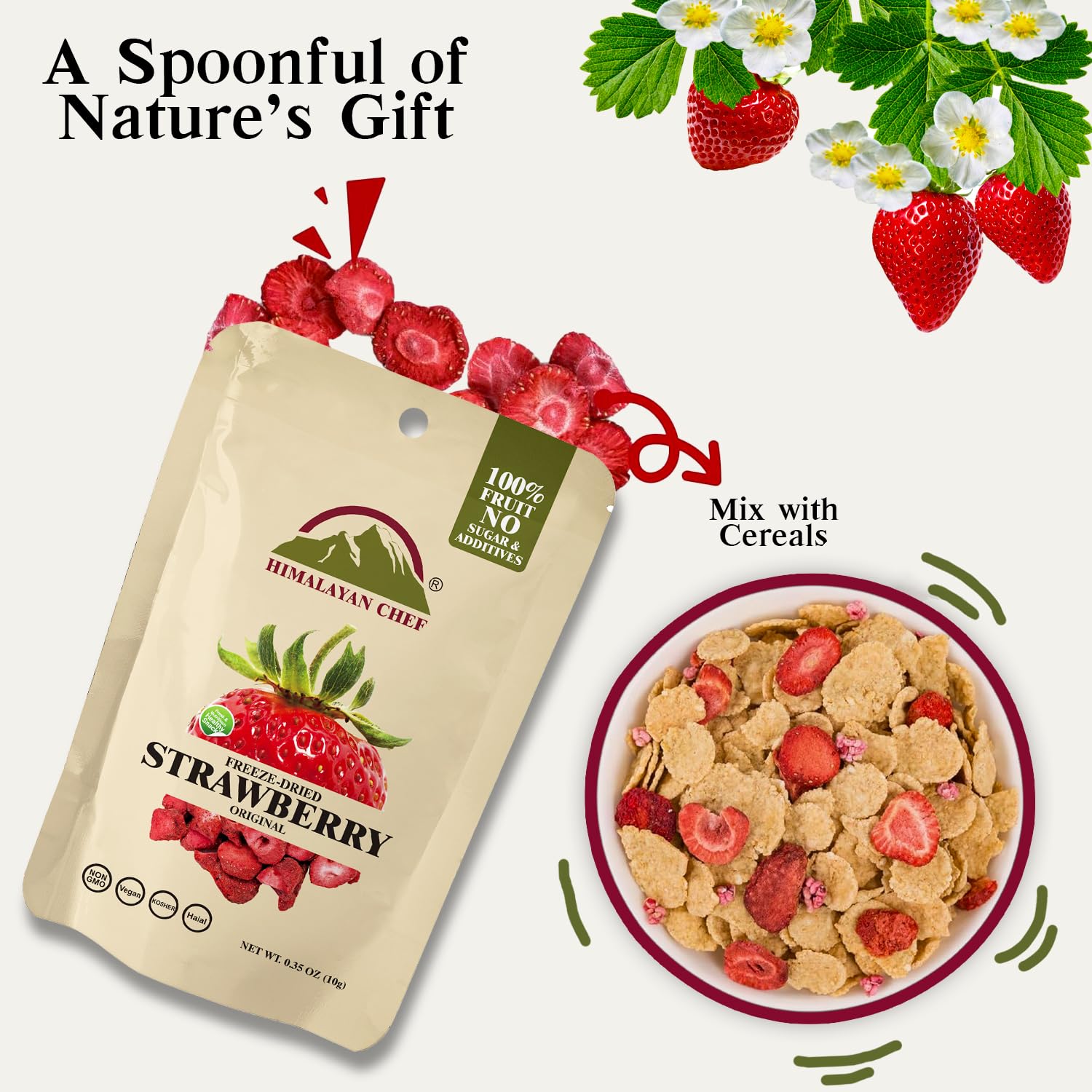 Himalayan Chef pack in backpack, travel-friendly fruit snack