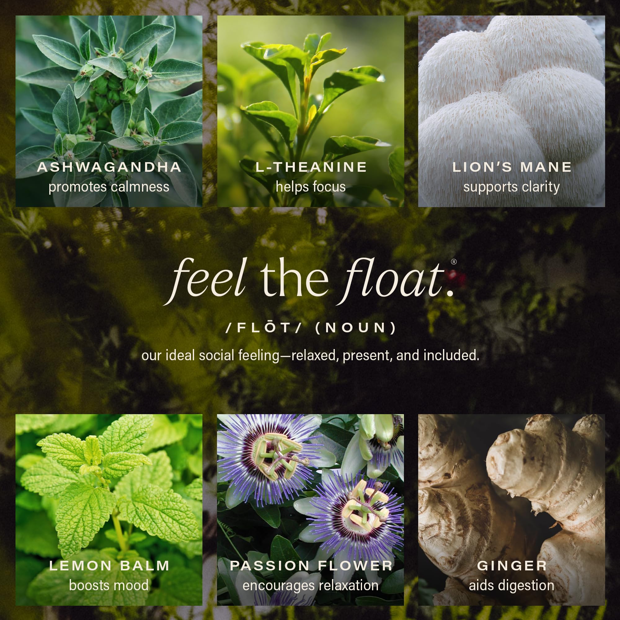 HIYO Peach Mango Social Tonic botanicals panel shows ashwagandha and lemon balm for balance