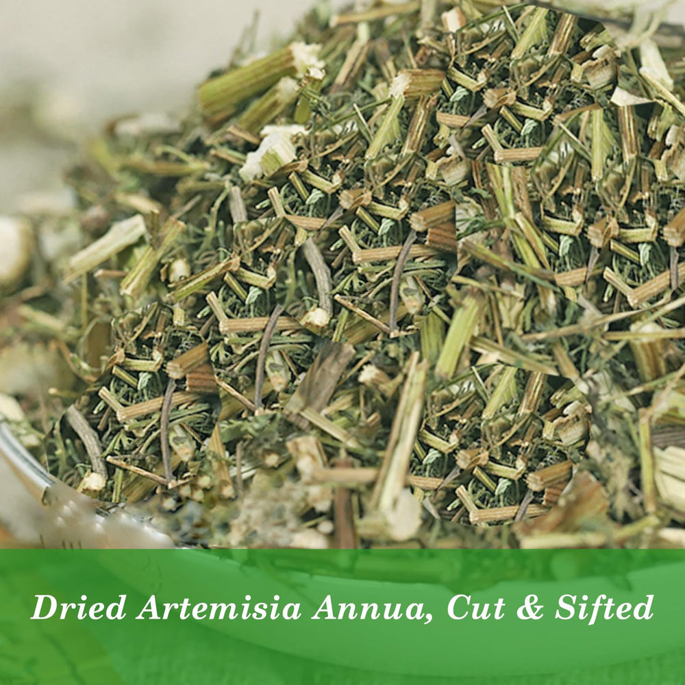 HOLFLYING Artemisia Annua gluten-free, non-GMO leaves for safe vegan blends.