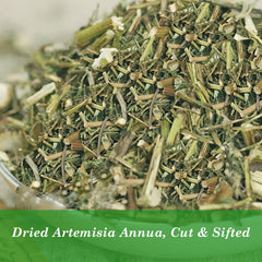 HOLFLYING Artemisia Annua gluten-free, non-GMO leaves for safe vegan blends.