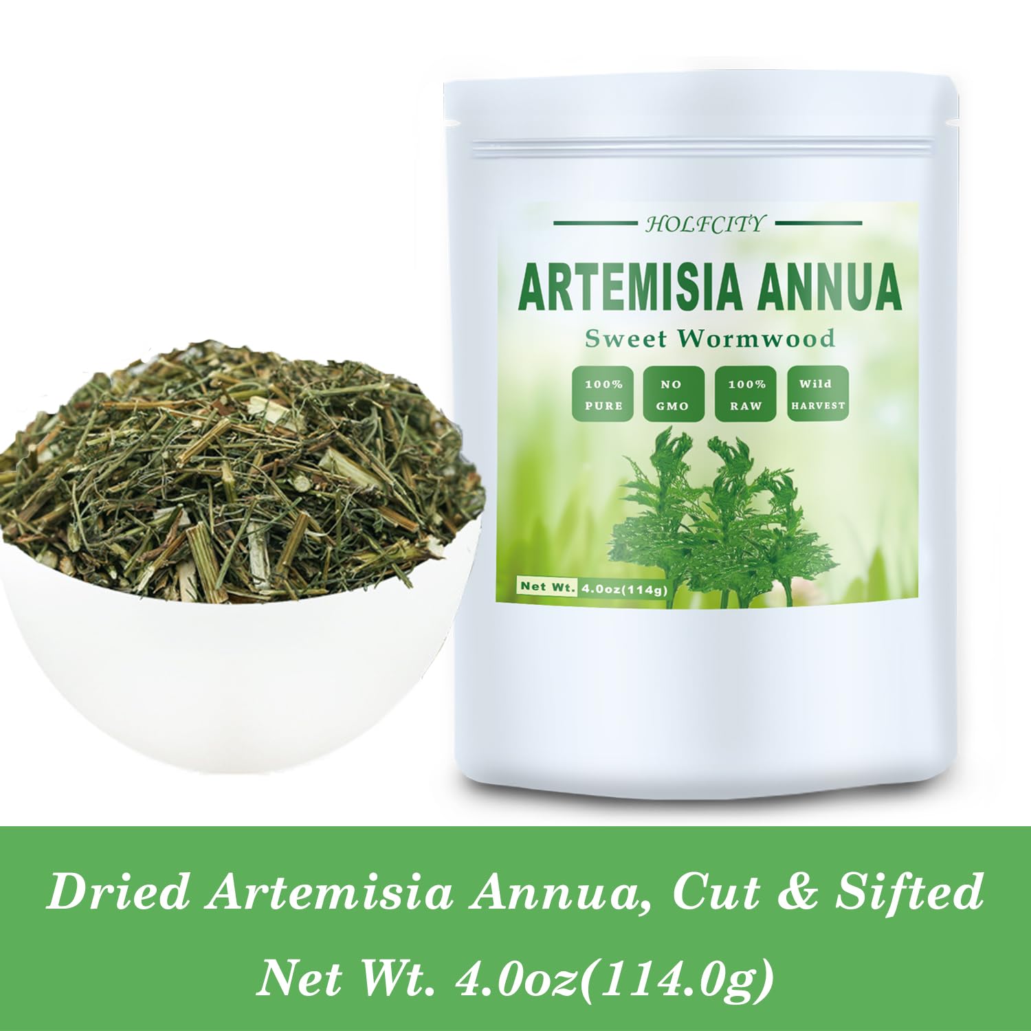HOLFLYING Artemisia Annua hand-selected leaves for premium herbal preparations.