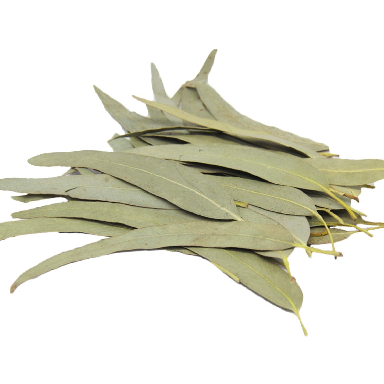 HOLFLYING eucalyptus leaves steeping in hot water for aromatic tea